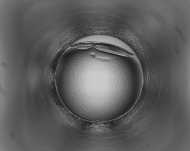 X0000090900367200708061508