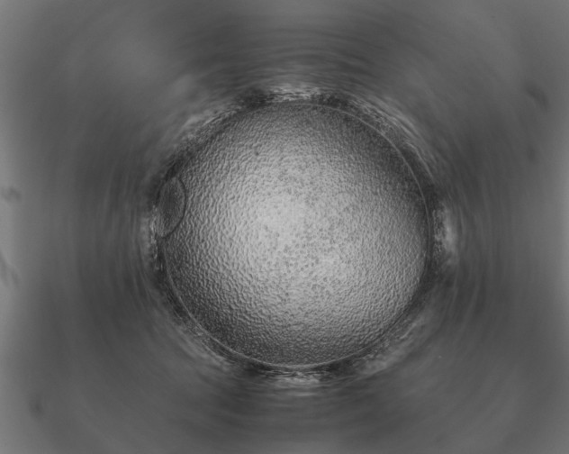 X0000090900369200708061508