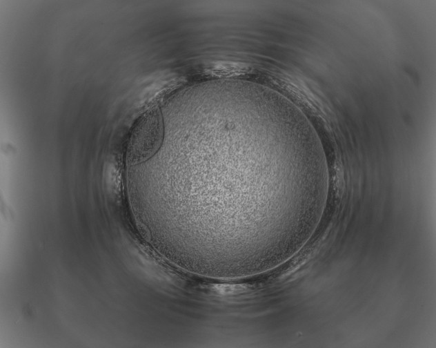 X0000090900371200708061508