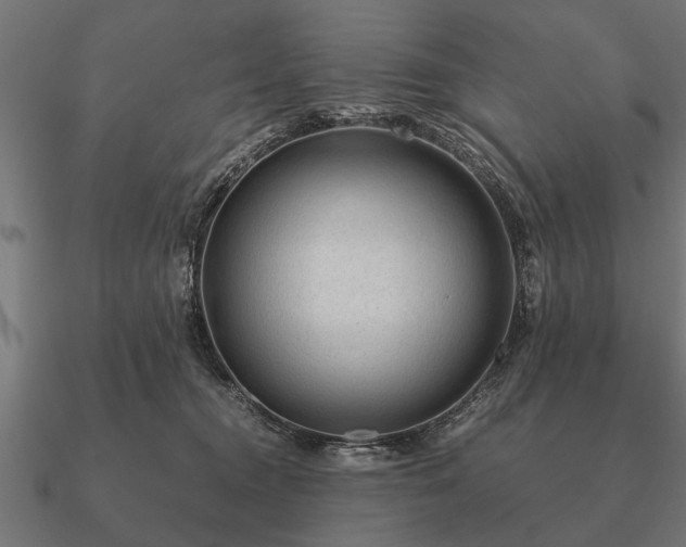 X0000090900372200708061508