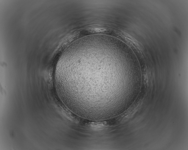 X0000090900373200708061508