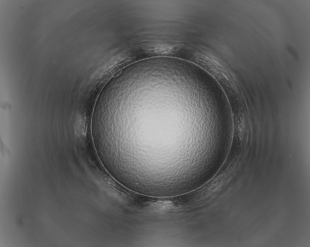 X0000090900374200708061508