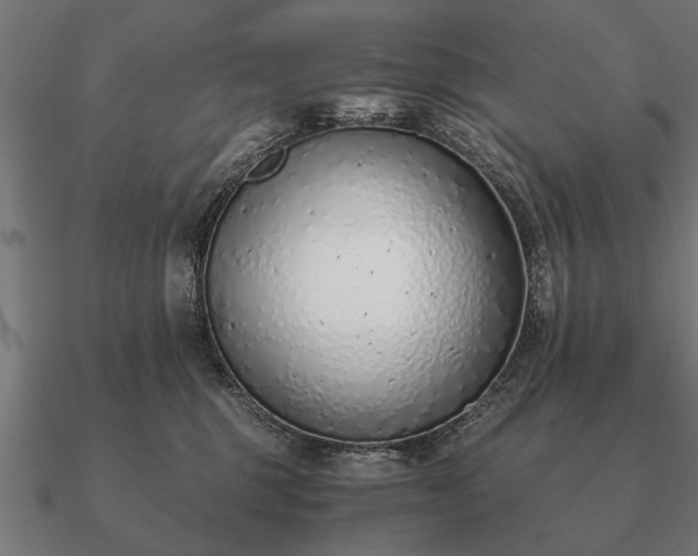 X0000090900375200708061508