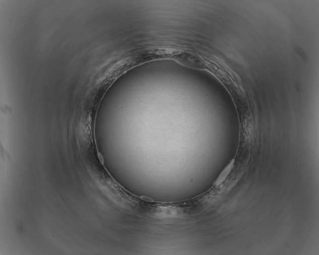 X0000090900376200708061508