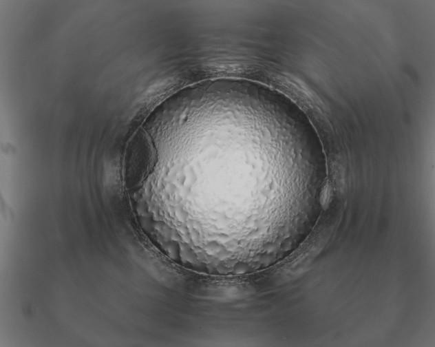 X0000090900377200708061508