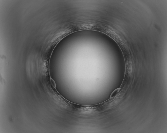 X0000090900378200708061508