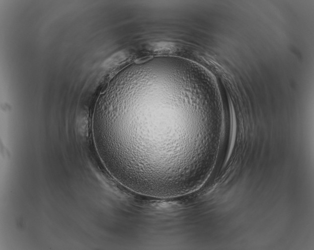 X0000090900379200708061508