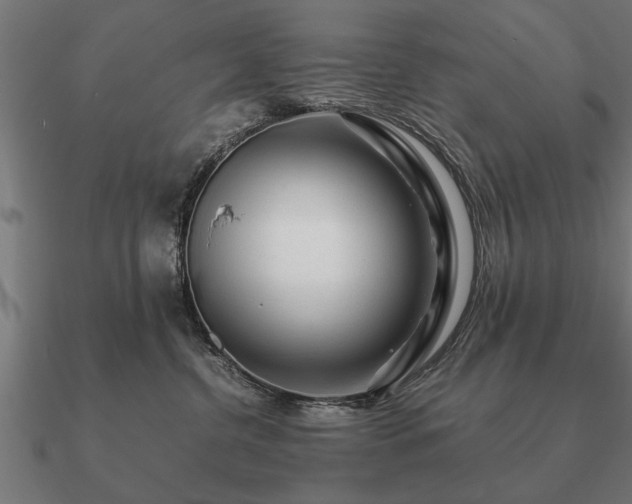 X0000090900380200708061508