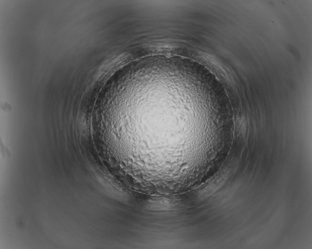 X0000090900381200708061508