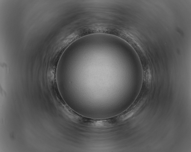 X0000090900382200708061508