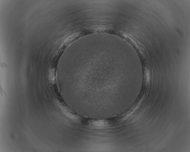 X0000090900383200708061508