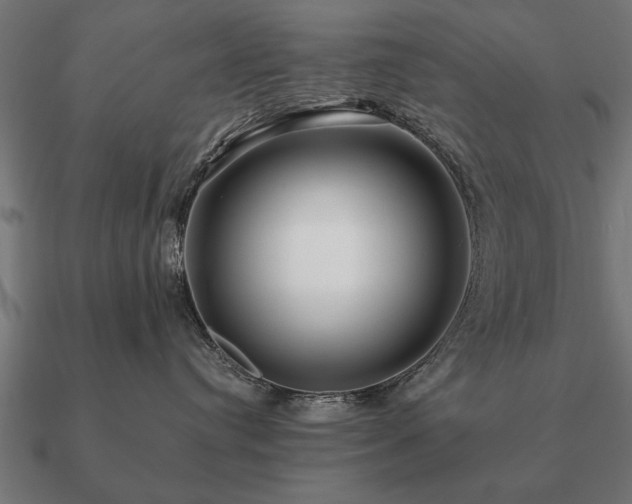 X0000090900384200708061508