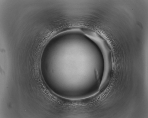 X0000090900385200708061508