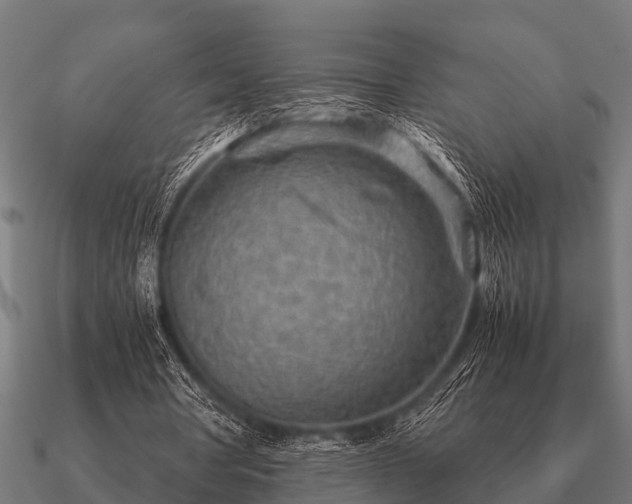 X0000090900386200708061508