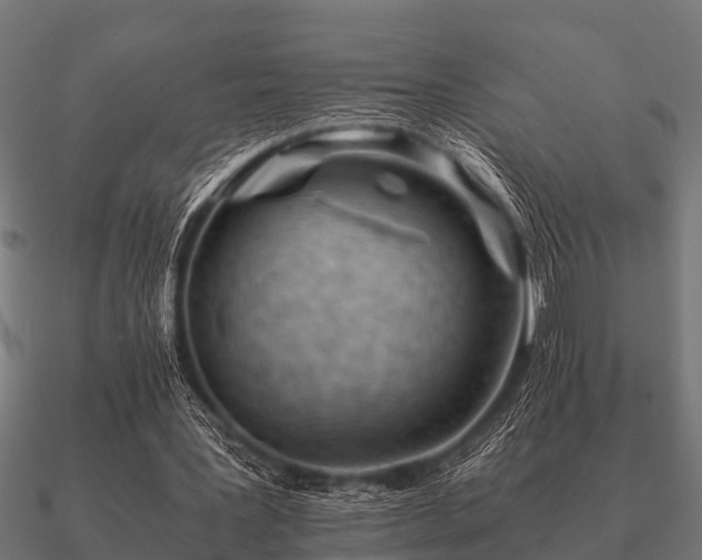 X0000090900387200708061508