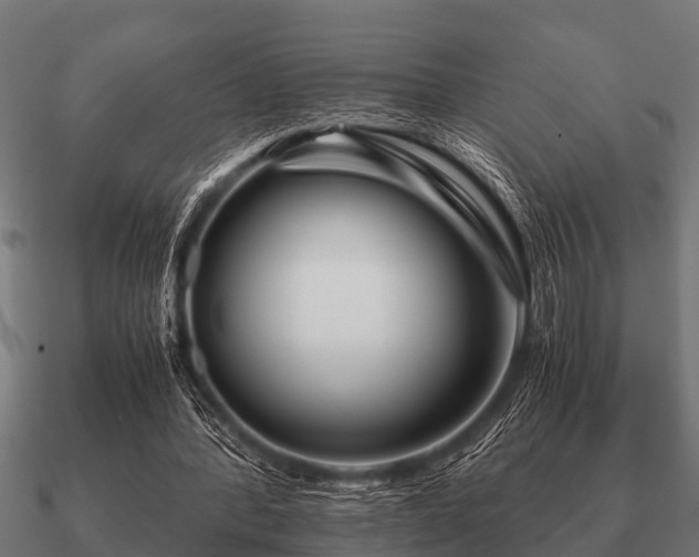 X0000090900388200708061508