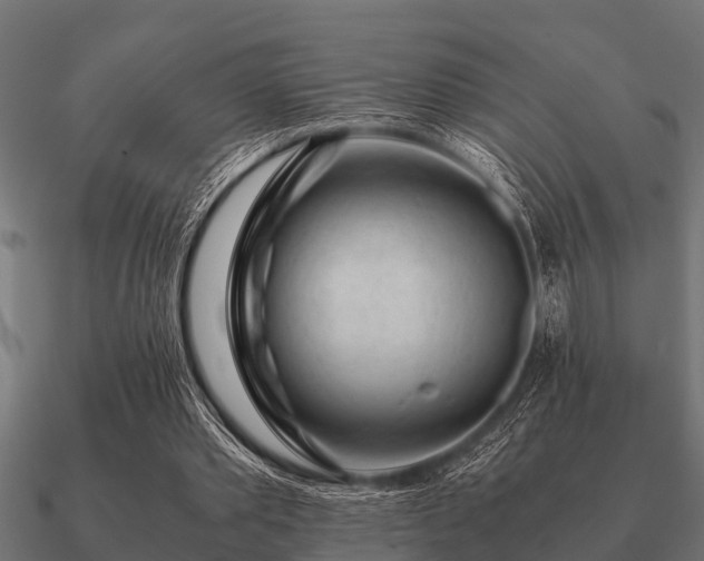 X0000090900389200708061508