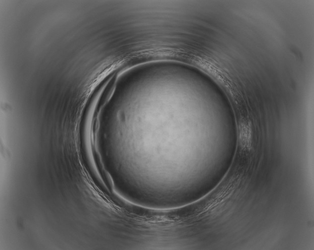 X0000090900390200708061508