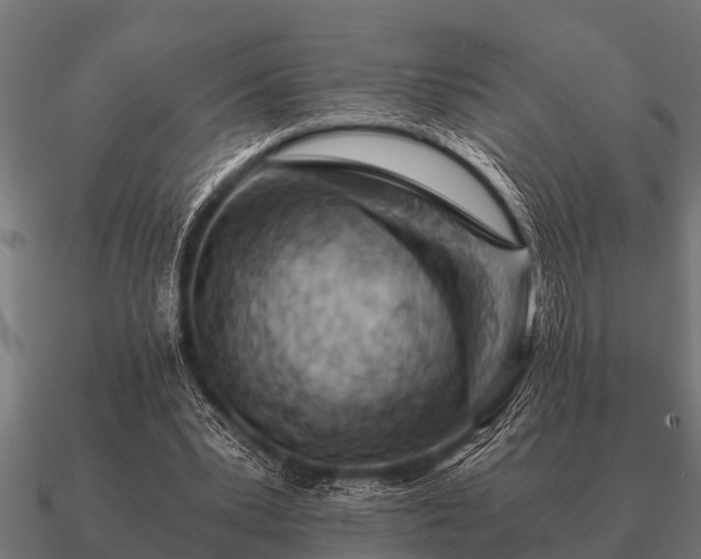 X0000090900391200708061508