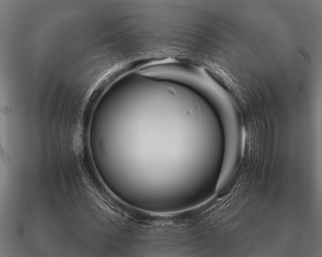 X0000090900392200708061508