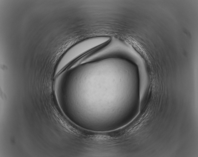 X0000090900393200708061508