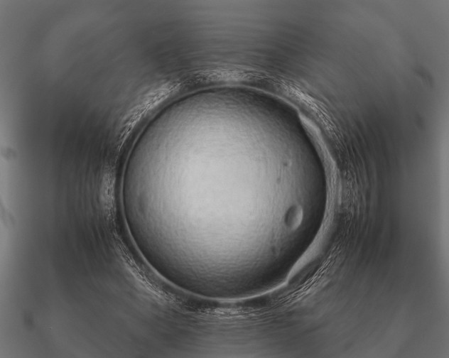 X0000090900394200708061508