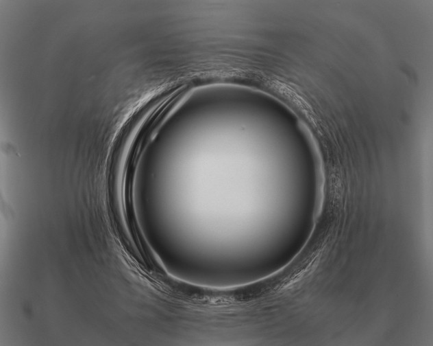 X0000090900395200708061508