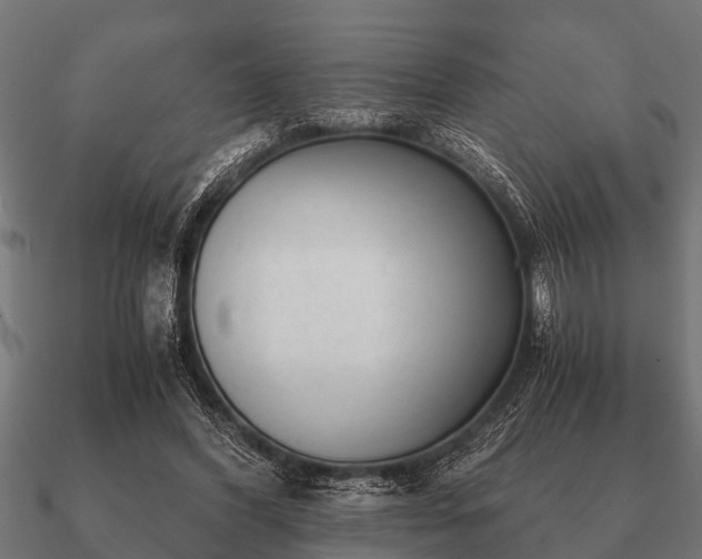 X0000090900396200708061508