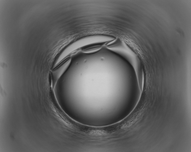 X0000090900397200708061508