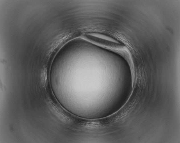 X0000090900398200708061508