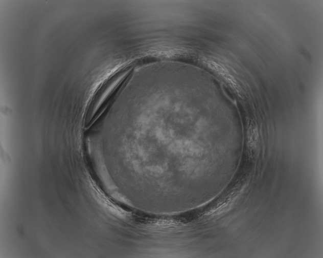 X0000090900399200708061508