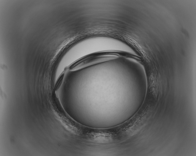 X0000090900400200708061508