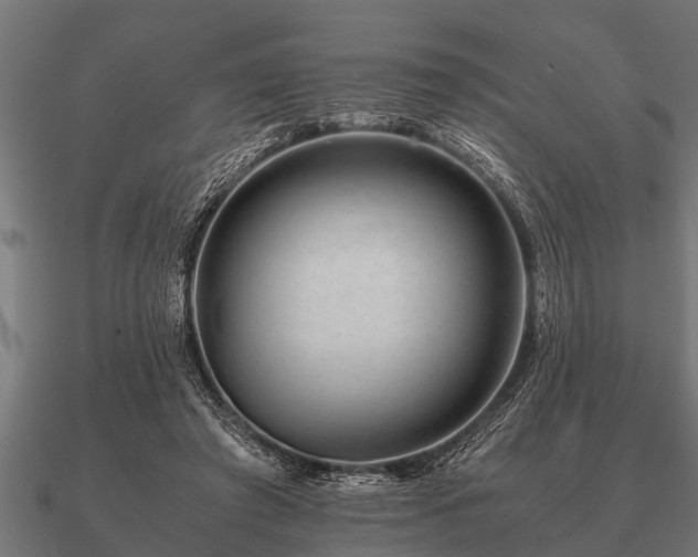 X0000090900401200708061508