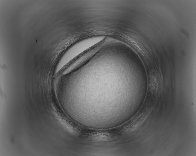 X0000090900402200708061508