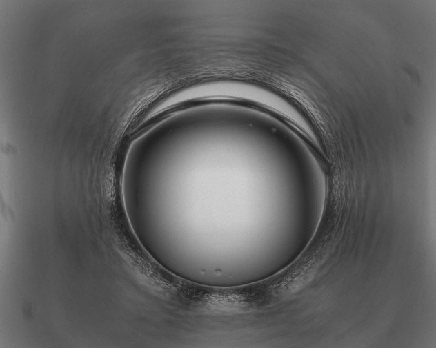 X0000090900403200708061508