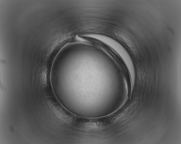 X0000090900404200708061508