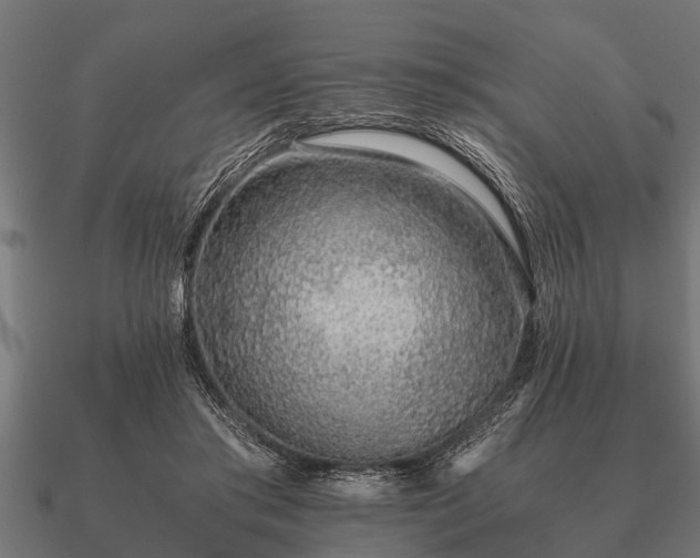 X0000090900405200708061508