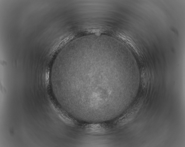 X0000090900406200708061508