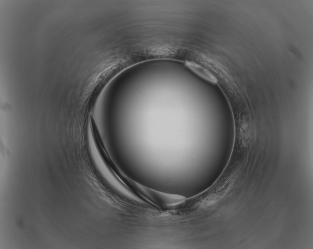 X0000090900407200708061508