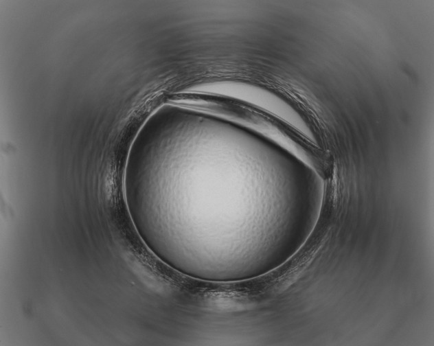 X0000090900408200708061508