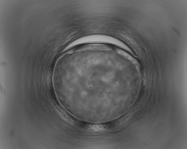 X0000090900409200708061508