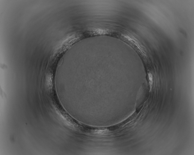 X0000090900410200708061508