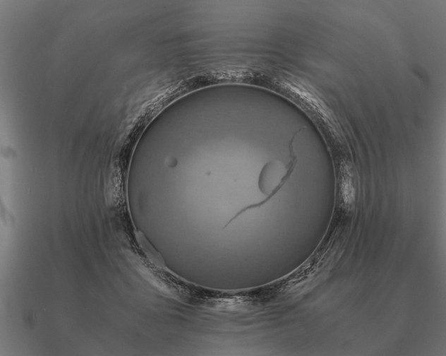 X0000090900411200708061507