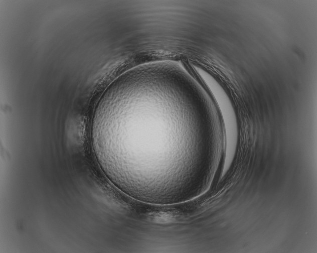 X0000090900412200708061507