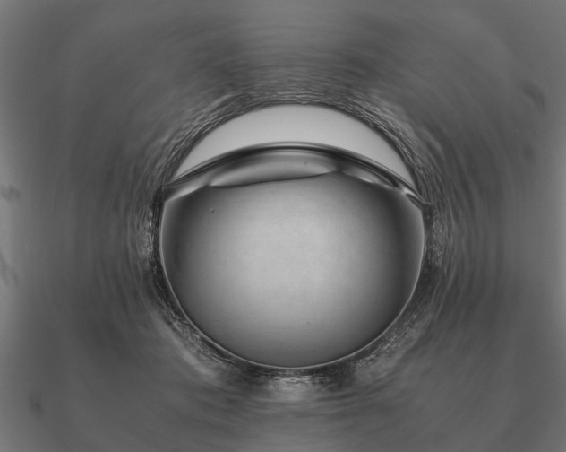 X0000090900413200708061507