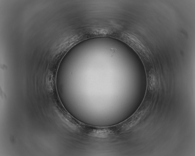 X0000090900414200708061507