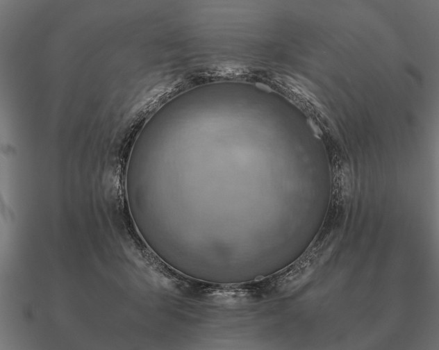 X0000090900415200708061507