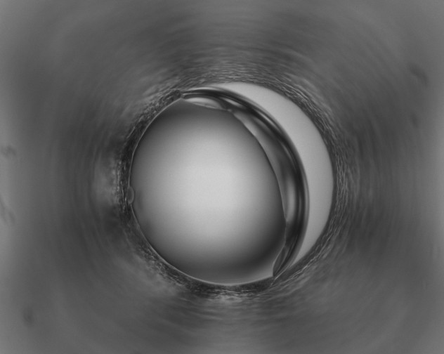 X0000090900416200708061507