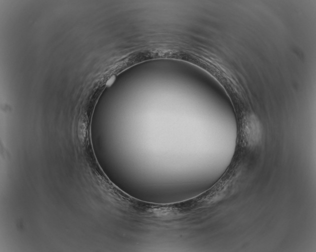 X0000090900417200708061507