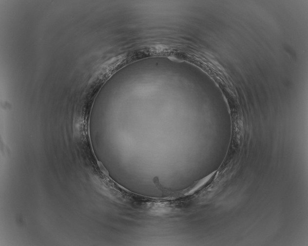 X0000090900419200708061507